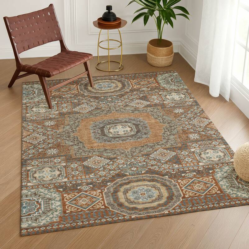 Machine Washable Indoor/ Outdoor Traditonal Isaiah Chantille Rug