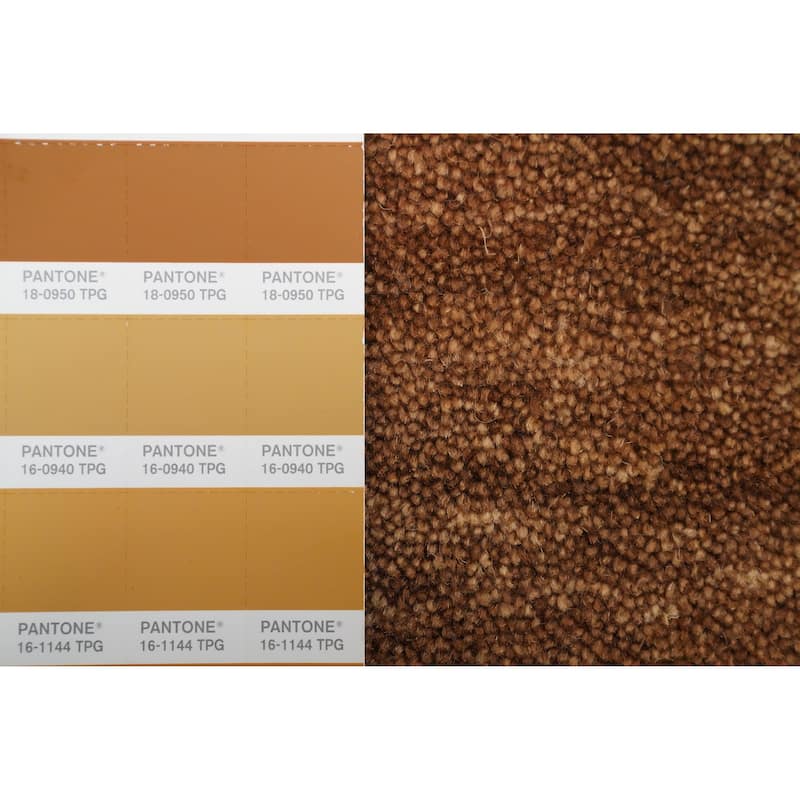Hand Knotted Oriental 100% Wool Carpet Tribal Animal Pictorial Brown Gabbeh Area Rug - 7' 9'' X 5' 2''