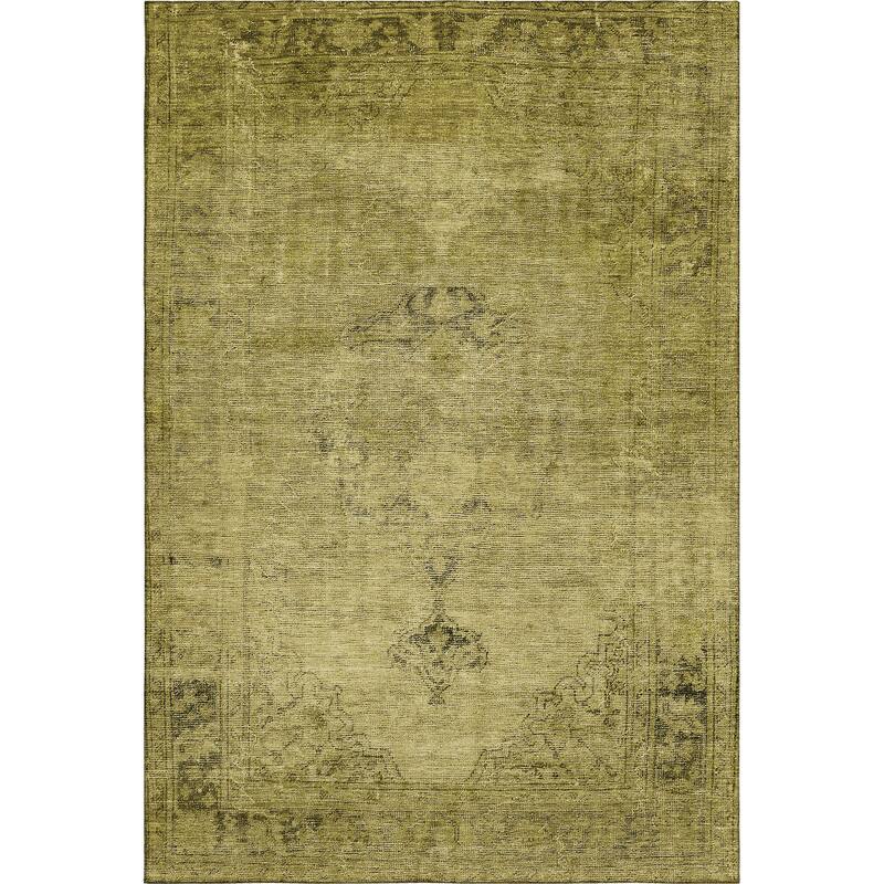 Premium Washable Super Soft Vintage Distressed Mayfield Rug