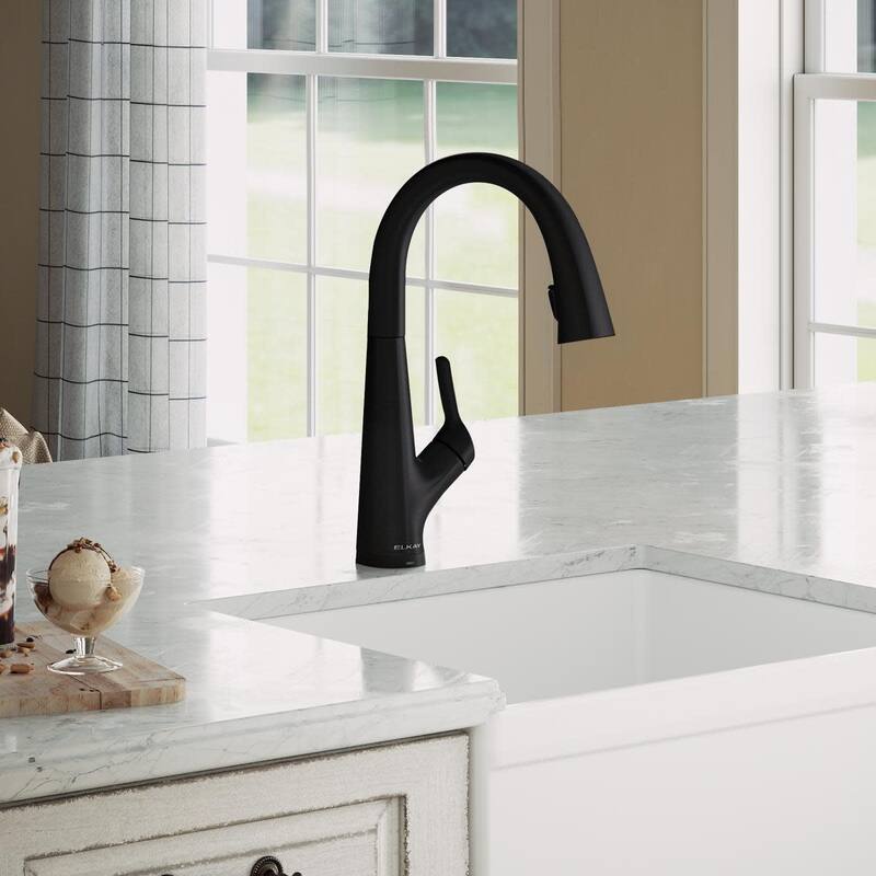 Elkay LKAV7051F Single Hole 2-in-1 Kitchen Faucet with Filtered