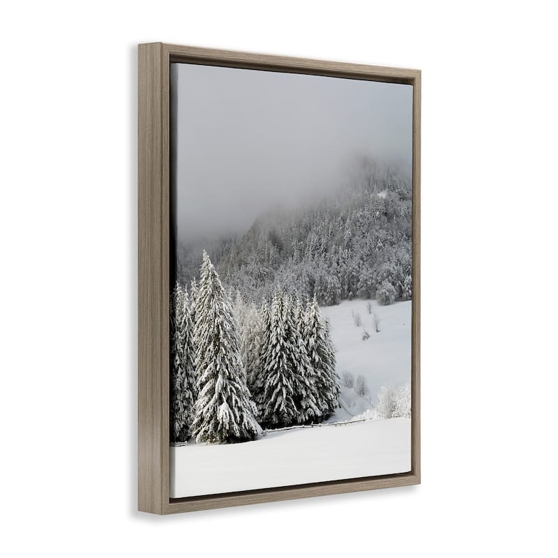 Stupell Winter Snowscape Woodland Trees Framed Floater Canvas Wall Art by Lil' Rue