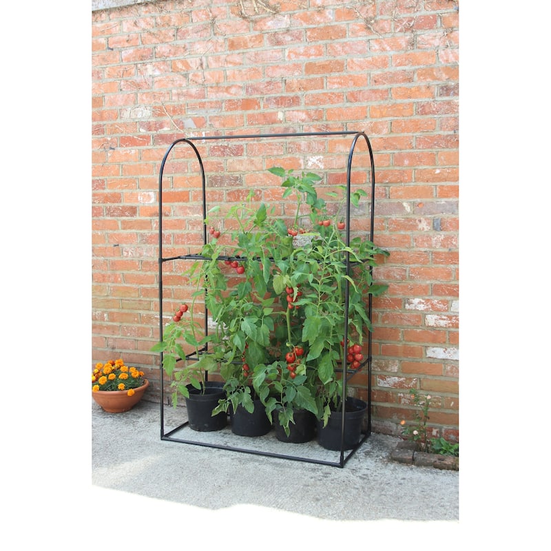 Haxnicks Tomato Crop Booster with Cover 40"W x 64"H x 20"D