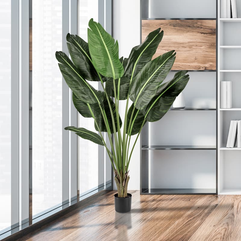 Potted Uv Treated Deluxe Traveler's Palm 5'