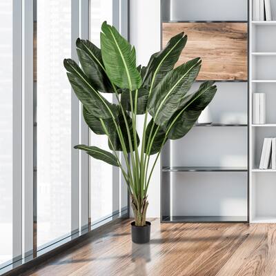 Potted Uv Treated Deluxe Traveler's Palm 5'