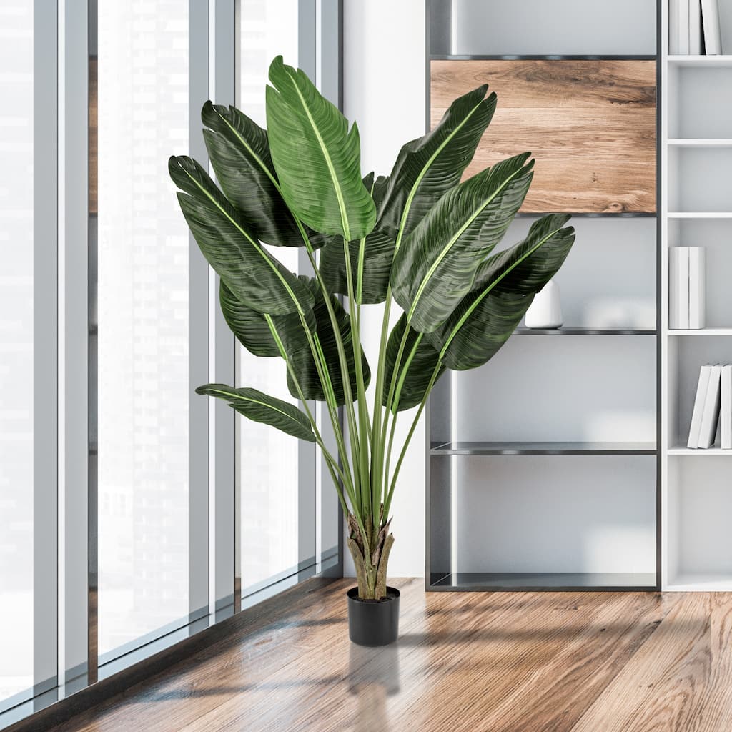 Potted Uv Treated Deluxe Traveler's Palm 5'