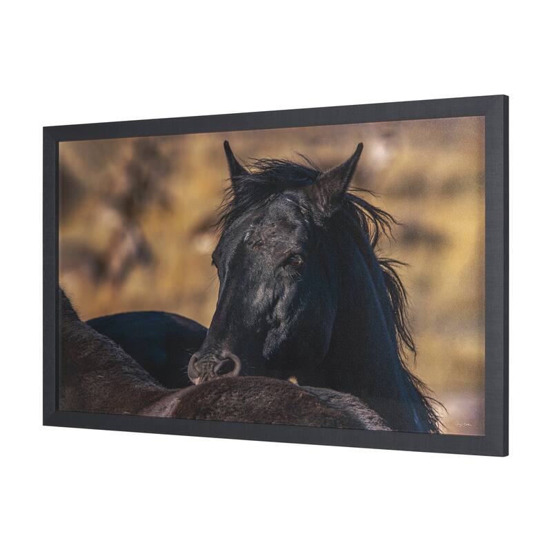 Wild Horses