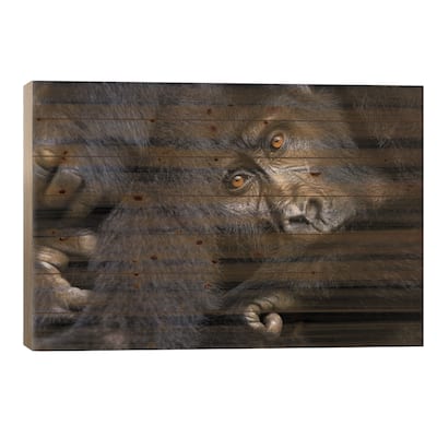 Gorilla, Bwindi Impenetrable Forest Print On Wood by Jane Rix - Multi-Color