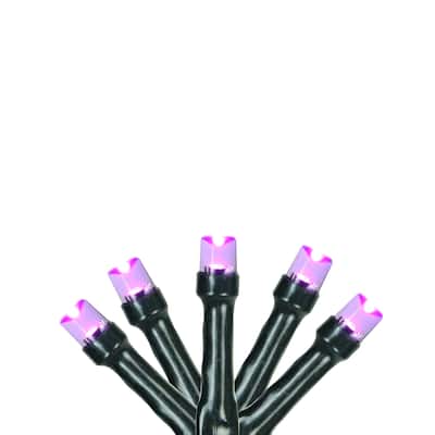 20 Purple LED Wide Angle Mini Christmas Lights - 6.25 ft Green Wire - 6.25'