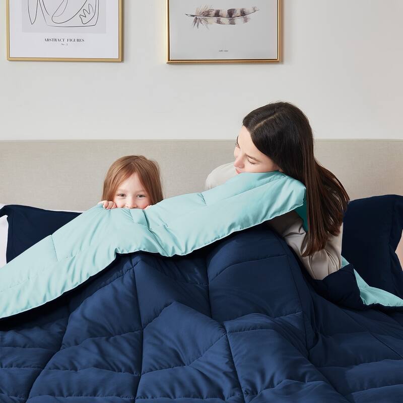 Empyrean All Season Alternative Down Lightweight Reversible Comforter Set