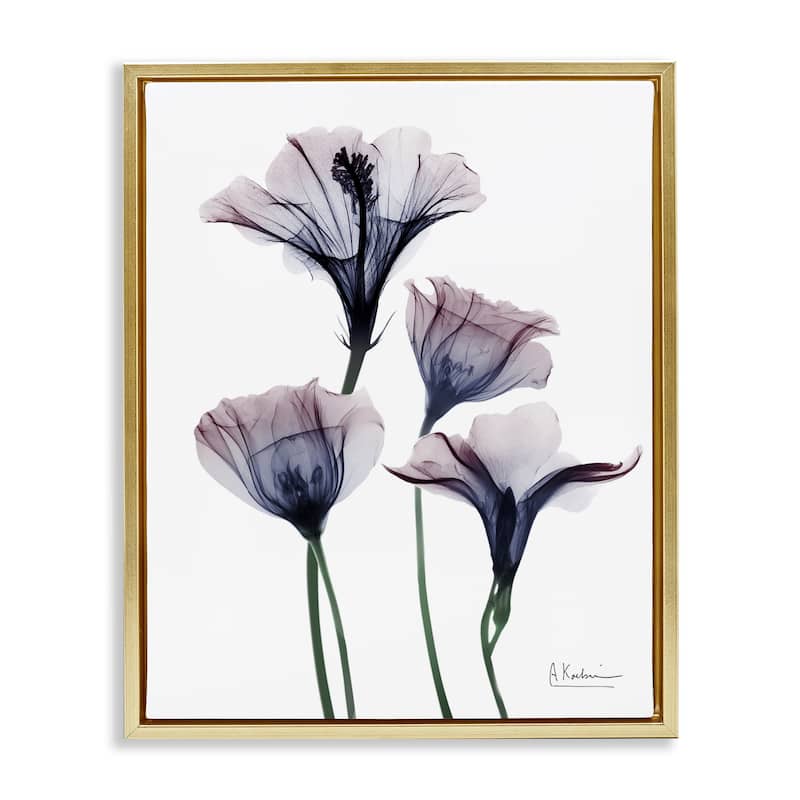 Stupell Bountiful Dusk Flowers Framed Floater Canvas Wall Art Design By Albert Koetsier - 25 x 31 - Gold