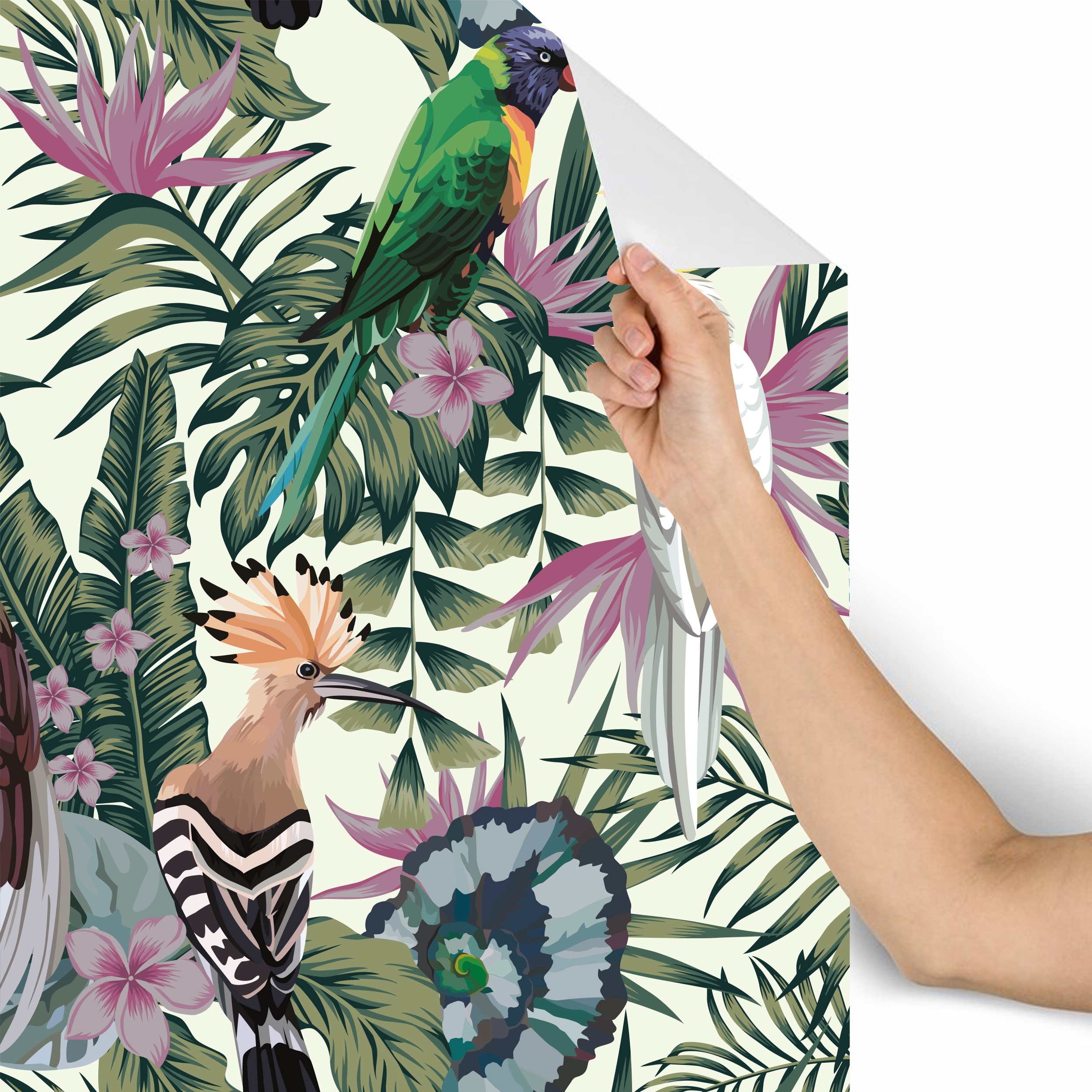 Exotic Birds Removable Wallpaper 10 Ft H X 24 Inch W Overstock 31718572 Wallpaper luxury wall coverings art birds on a tree branch tan brown beige cream. exotic birds removable wallpaper 10 ft h x 24 inch w