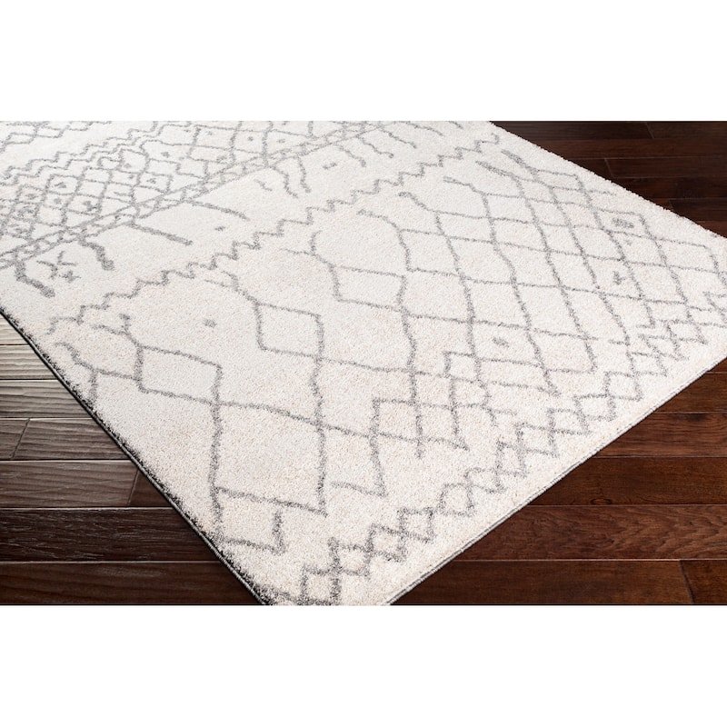 Livabliss Transitional Andorra Trellis Area Rug