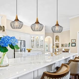 Farmhouse 10 inches Black 1-light Pendant Cage Coastal Globe Ceiling Lights - D10'' x H72''