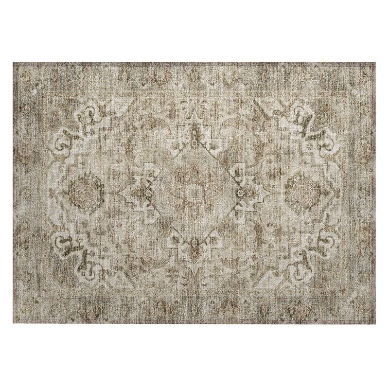 Machine Washable Indoor/Outdoor Traditional Vintage Chantille Rug