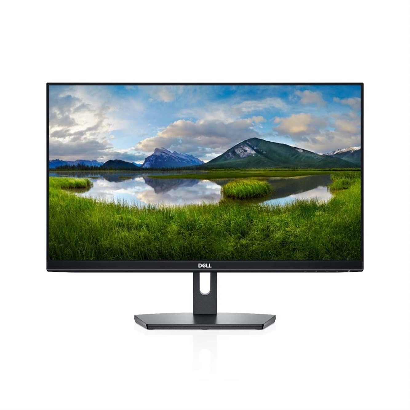 Dell SE2419HR 24