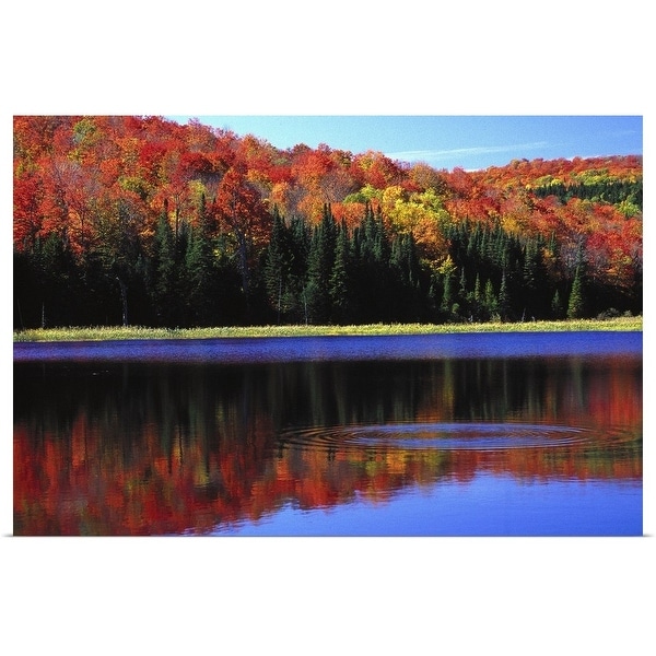 "Vermont Autumn, trees and water" Poster Print