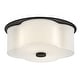 preview thumbnail 1 of 7, Hinkley Lighting 46441 Delaney 2 Light 14" Wide Flush Mount Drum Black