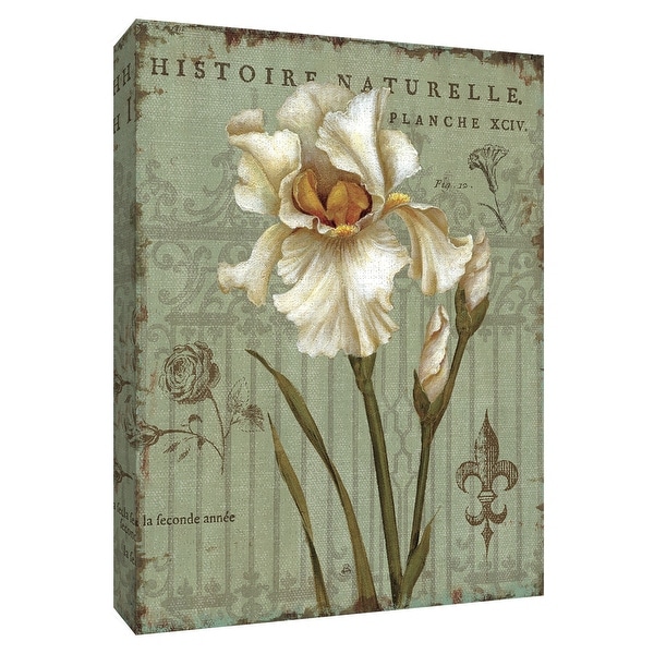 PTM Images 9-154560 PTM Canvas Collection 10" x 8" - "Histoire Naturelle II" Giclee Flowers Art Print on Canvas