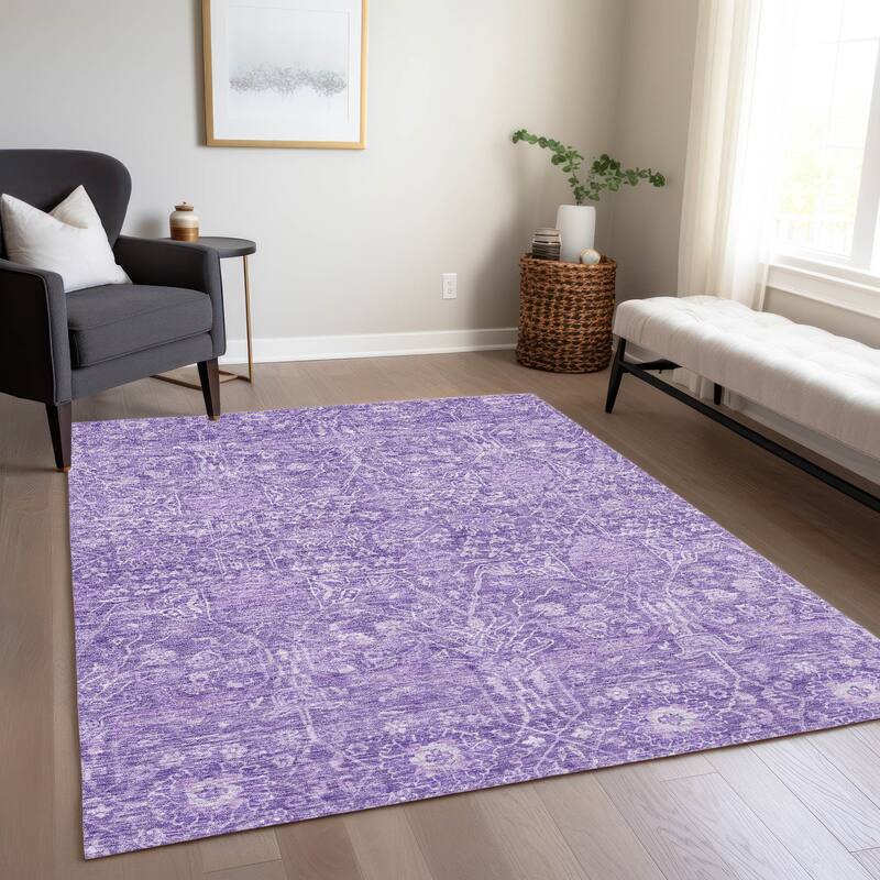 Machine Washable Indoor/ Outdoor Vintage Boho Chantille Rug