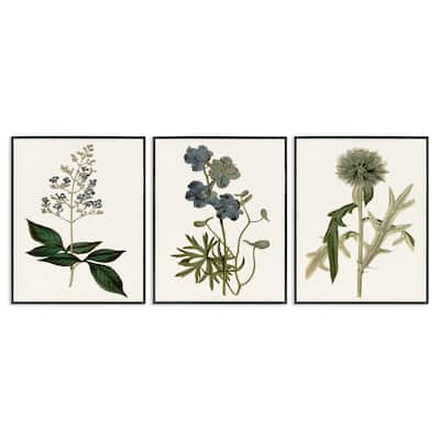 Stupell Vintage Blue Botanical Flowers on Beige, 3pc Multi Piece Framed Wall Art Set
