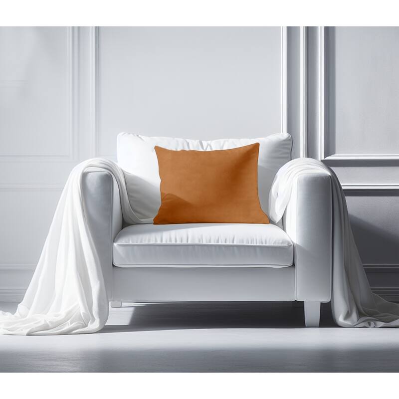 A1HC Velvet Throw Pillow Insert, Hypoallergenic Down Alternative Fill, Pack of 1