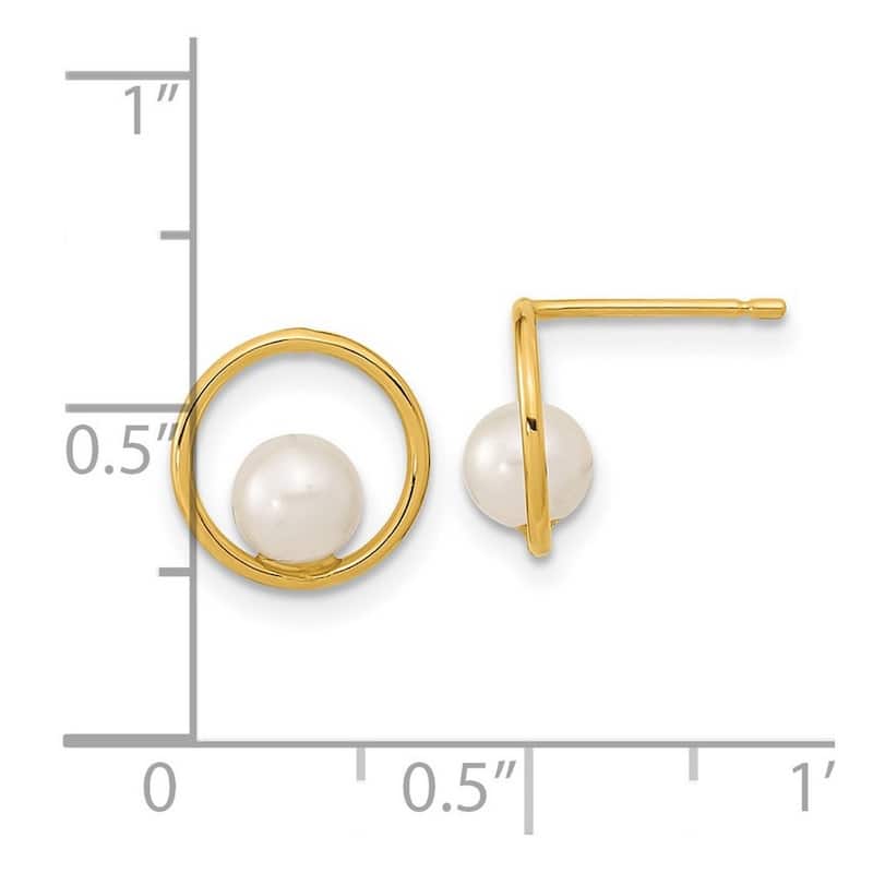 Curata 14k Yellow Gold Open Circle 5mm Freshwater Cultured Pearl Post Earrings (10.01x9.85mm)