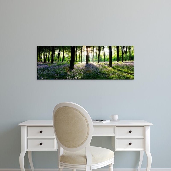Easy Art Prints Panoramic Image 'Bluebells growing in a forest, Micheldever, Hampshire, England' Canvas Art