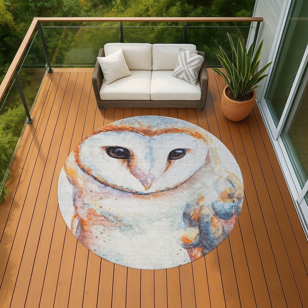 Machine Washable Indoor/ Outdoor Modern Owl Chantille Rug