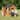 Backyard Discovery Sweetwater Cedar Wooden Playhouse with Play Kitchen - 3'6" x 3'10"