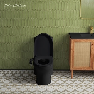 Aqua Non-Electric Bidet Toilet Attachment In Matte Black With Black Knob
