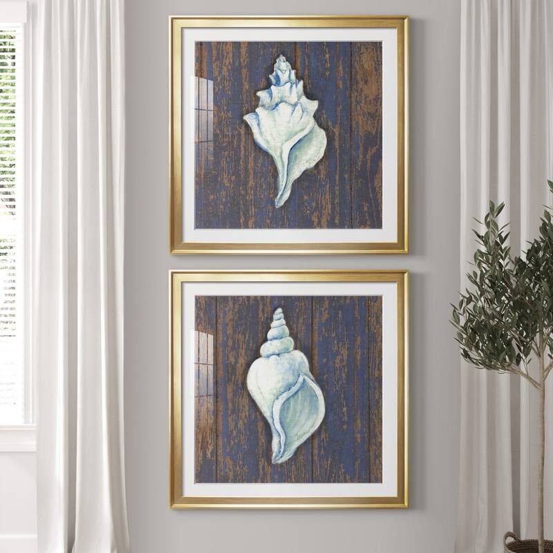 Weathered Shell I Premium Framed Print - Ready to Hang