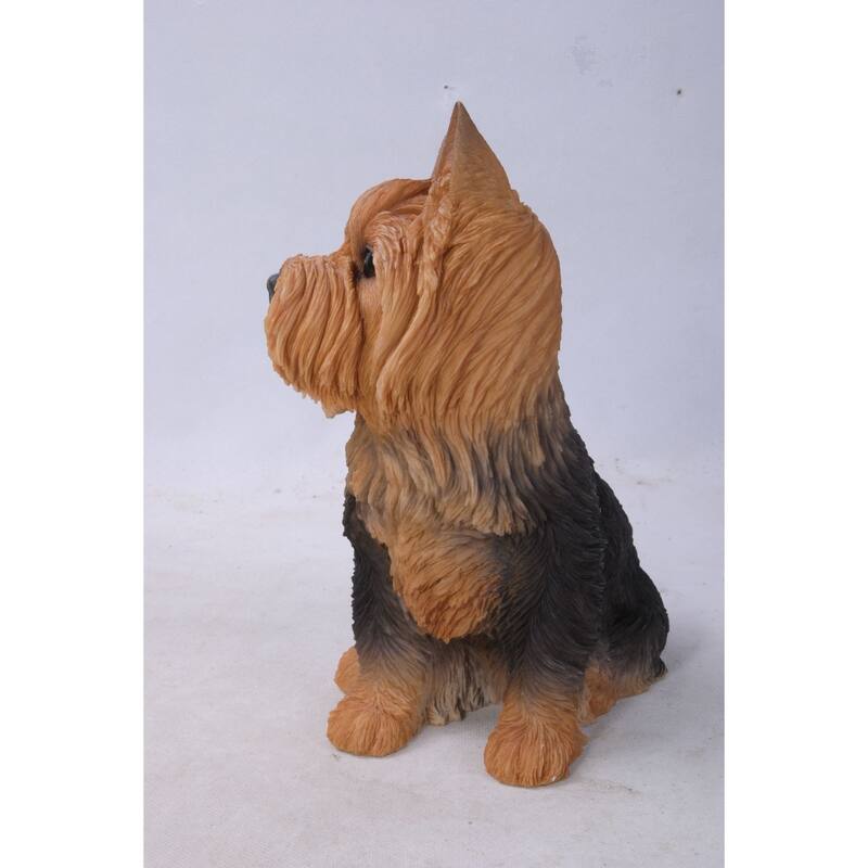 Sitting Yorkshire Terrier Outdoor Garden Statue - 9.25" - Black and Brown