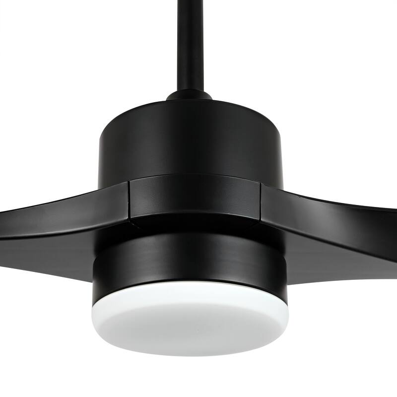 WINGBO 52 inch 2 Blades Modern Ceiling Fan with Lights and Remote - N/A