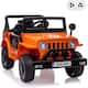 Option Orange