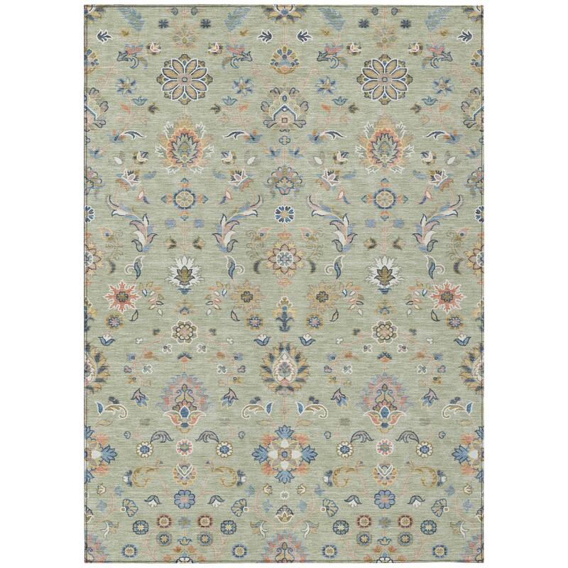 Machine Washable Indoor/ Outdoor Traditional Basalt Chantille Rug