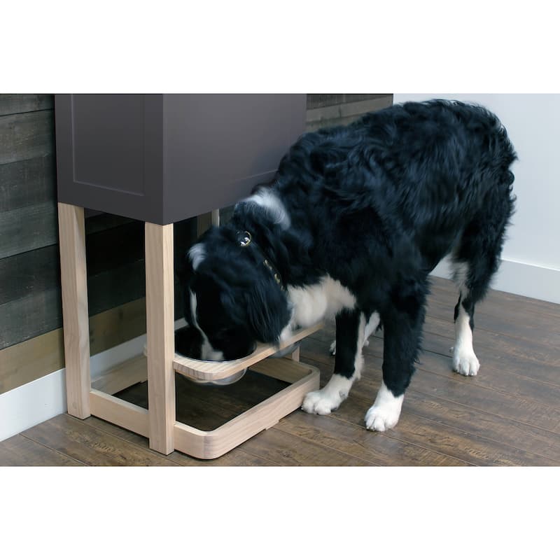Parlor Pet Feeder Station