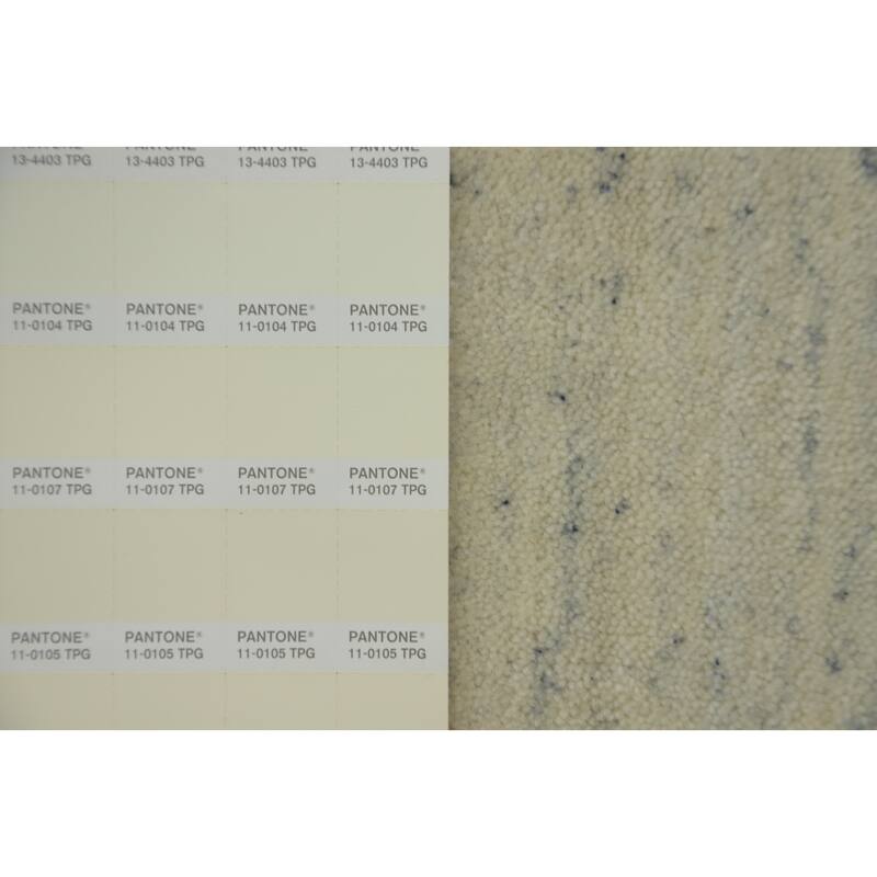 Hand Knotted Oriental 100% Wool Carpet Tribal Animal Pictorial Beige & Ivories Gabbeh Area Rug - 5' 11'' X 6' 1''