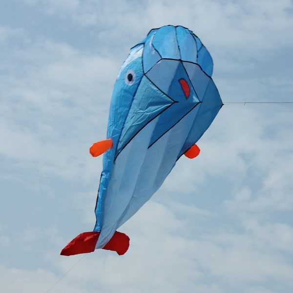 AGPtek 3D Kite Huge Frameless Soft Parafoil Giant Dolphin Kite Blue - SIZE