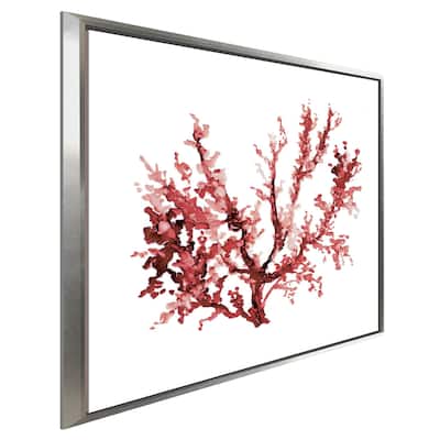 "Sea Coral III" by Carol Robinson Print on Floating Canvas