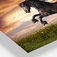 preview thumbnail 4 of 14, Designart 'Black Friesian Horse Gallop' Animal Photography Metal Wall Art
