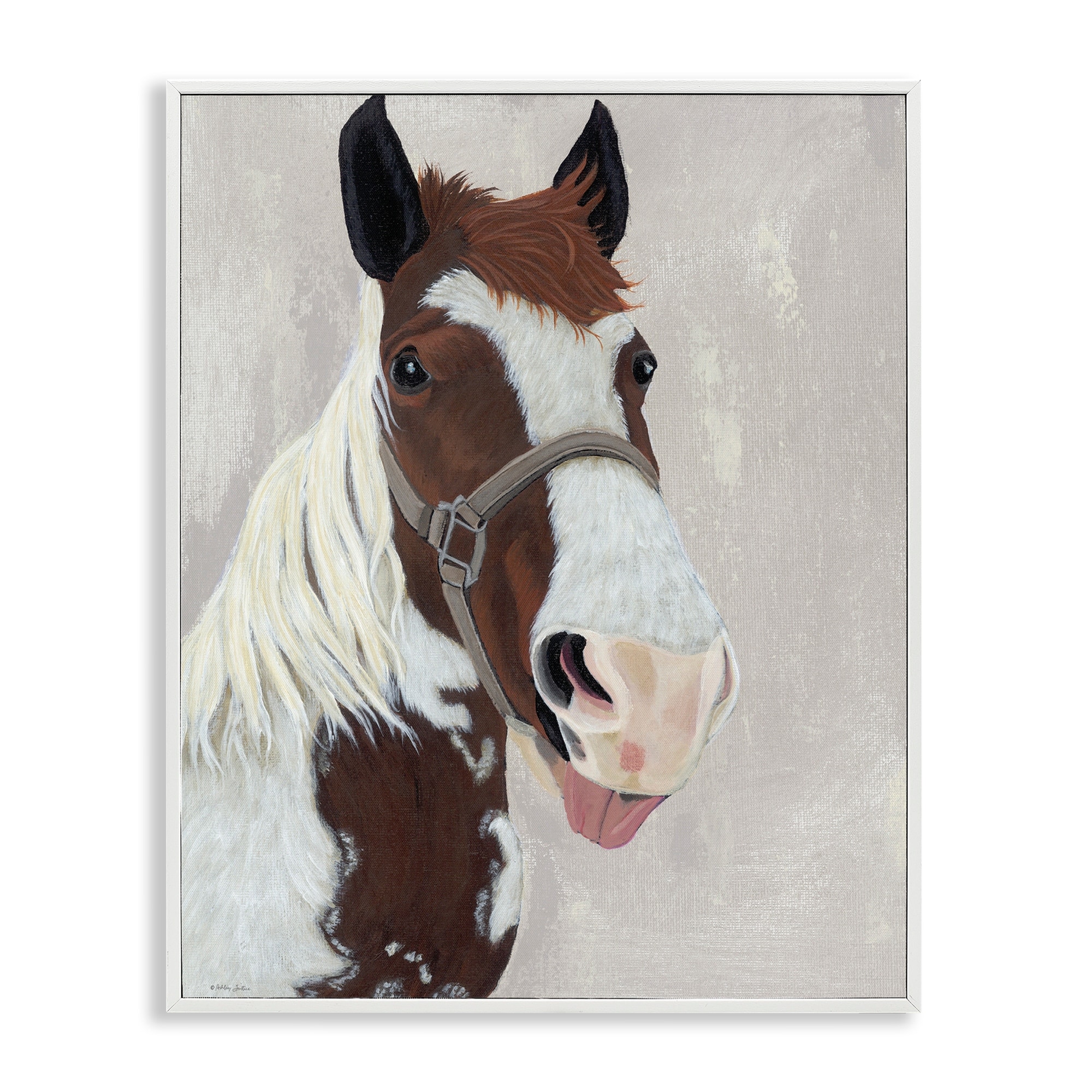 Stupell Henry Horse Funny Tongue Framed Giclee Art Design By Ashley Justice
