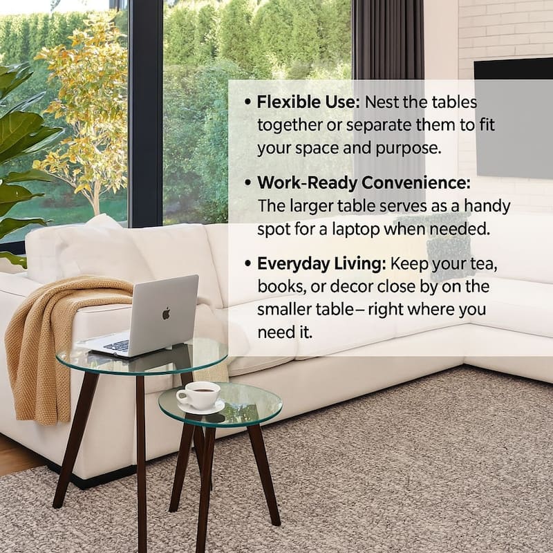 Set of Two Mixed Material Mid-Century Modern Glass Nesting Tables