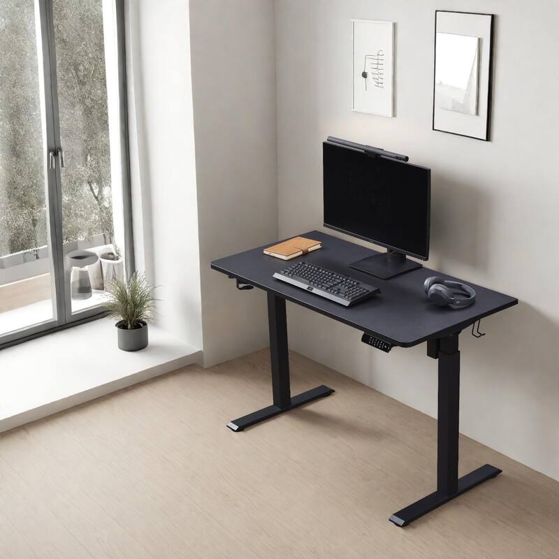 KOWO K304 Electric Standing Desk 48" Height Adjustable Workstation, Sit Stand Desk with Memory Preset for Home Office, Ergonomic