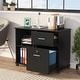 preview thumbnail 6 of 17, Mobile Lateral File Pedesta, 2 Drawer File Cabinet with Lock