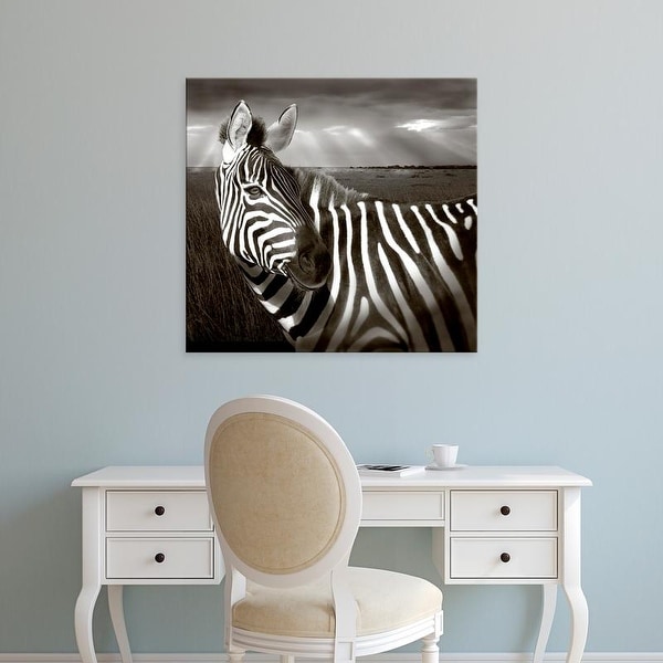 Easy Art Prints Jaynes Gallery's 'Zebra' Premium Canvas Art