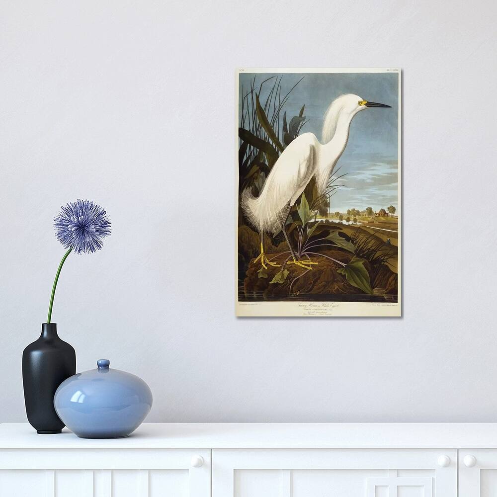 iCanvas "Snowy Heron Or White Egret / Snowy Egret " by John James Audubon Canvas Print