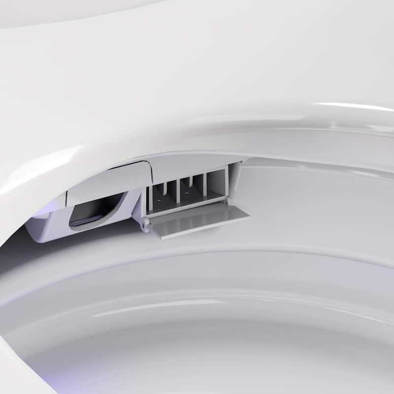 Smart Toilet with Heated Seat & Warm Air Dryer, Auto Flush One Piece Toilet with Night Light, Self Cleaning Nozzle