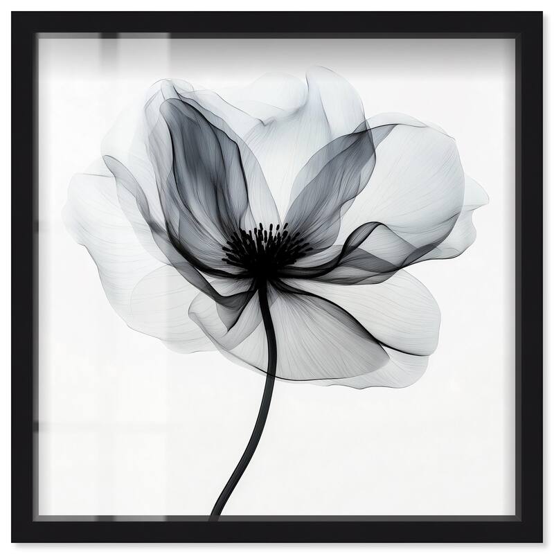 Midania I Shadowbox by Art Remedy - Black - 40" x 40"