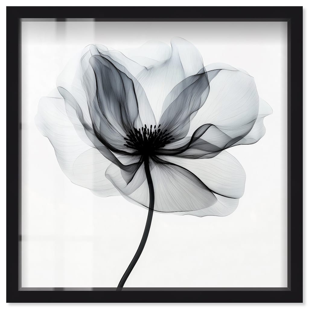 Midania I Shadowbox by Art Remedy