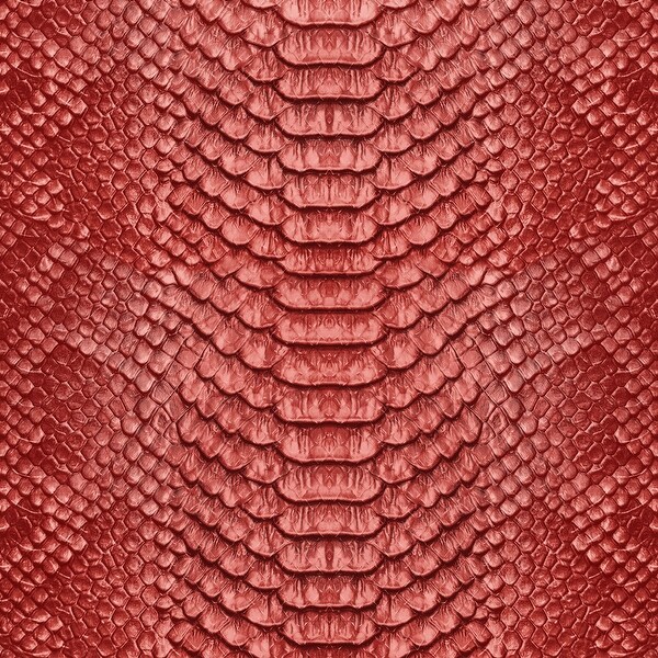 snake print red
